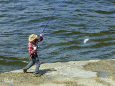 Catching a fish