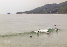 Surfing at Cobden