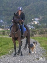 Horse Riding