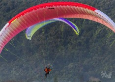 Paraglider