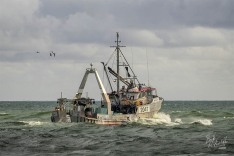 Resolution II, 17 May 2025