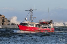 Aleatha T, 24 May 2025