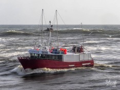 Brid Voyager 28 August 2024