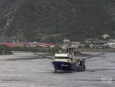 Cook Canyon, 1 June 2025