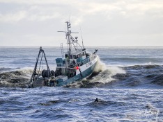 Jay Elaine, 20 May 2025