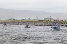 Boats coming home 31 January 2019