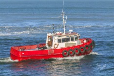 Bob Gower 1 March 2019