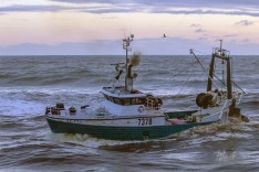 Galatea II, 6 August 2019