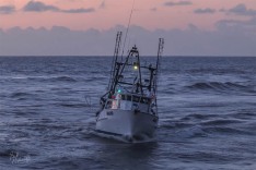 Mako 18 September 2019