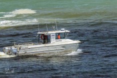 Squalus 2 November 2019