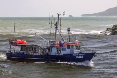 Asta Maru 9 February 2020