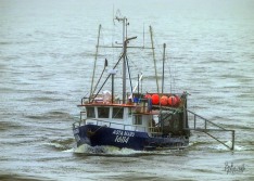 Asta Maru 18 February 2020