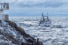 Mako 9 September 2020