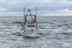 Mako 9 September 2020