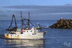 Mako 12 November 2020