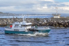 Ocean Odyssey 10 August 2020