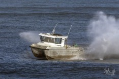 Squalus 12 March 2021