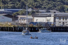 Boats in River 31 January 2021