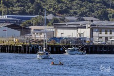 Boats in River 31 January 2021