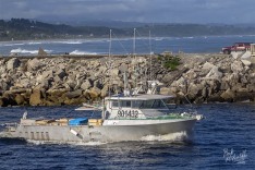 Abrolhos Spirit 12 March 2021