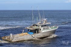 Abrolhos Spirit 12 March 2021