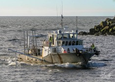 Island Leader II, 14 March 2021