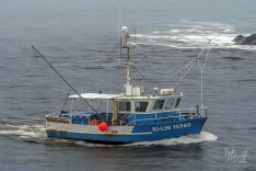 Ki-Lin 31 March 2021