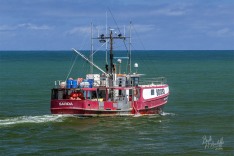 Sarda 14 January 2021