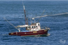Spindrift 12 March 2021