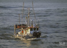 Asta Maru 27 February 2022