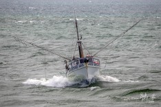 Bonaventure 1 February 2022