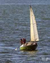 Sailboat at Grey River 29 January 2022