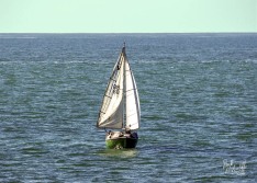 Sailboat 29 January 2022