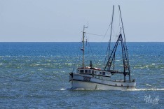 Tainui 29 December 2022