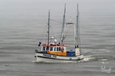 Trojan 9 February 2022