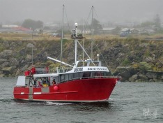 Brid Voyager 6 January 2023