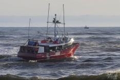 Brid Voyager 28 July 2023