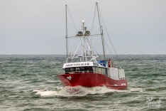 Brid Voyager 4 January 2023