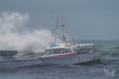 FrancesX 11 September 2023