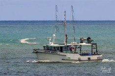 Hinewai 16 January 2023