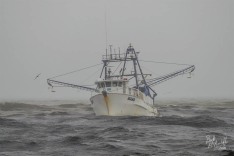 Mako 14 September 2023