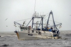 Mako 14 September 2023