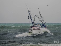 Tanea 6 October 2023