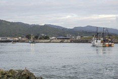 Boats in River 12 May 2024