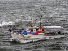 Bonaventure 16 February 2024