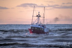 Brid Voyager, 3 November 2024