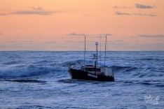 Exocet, 3 November 2024