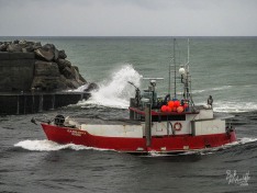 Garraway 15 February 2024