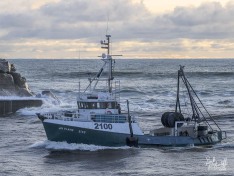 Jay Elaine, 28 September 2024