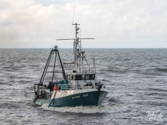 Jay Elaine, 23 October 2024